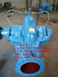 10SH-6雙吸泵 10SH-6雙吸泵