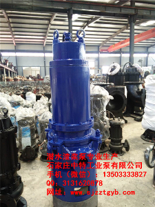 潛水耐磨抽砂泵 潛水耐磨抽砂泵